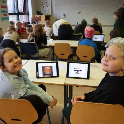 Sveitin og ránfuglar