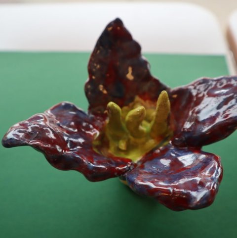 blom8.jpg