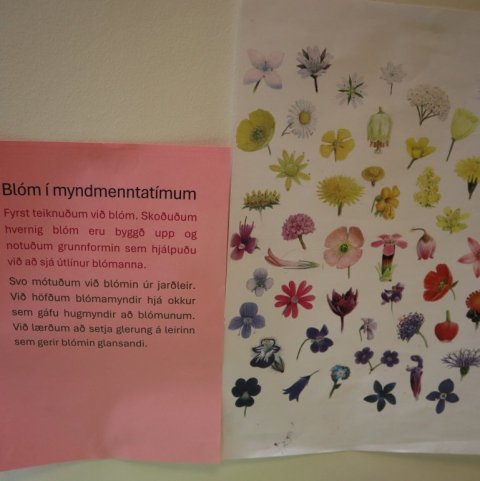blom21.jpg
