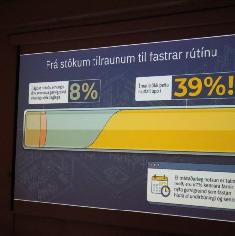 gervi6.jpg