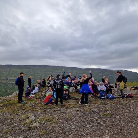 Rauðshaugur