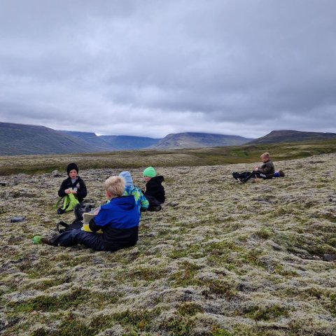 Rauðshaugur