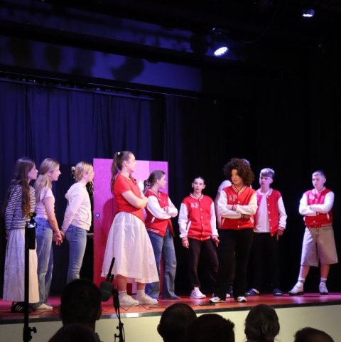 hsm17.jpg