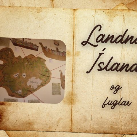 land1.jpg