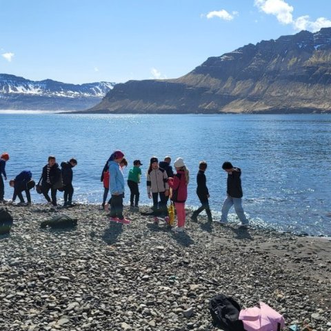 Fjöruferð