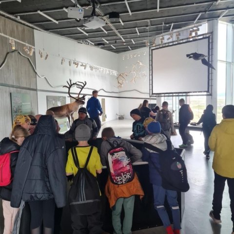 Gestastofa Vatnajökulsþjóðgarðs