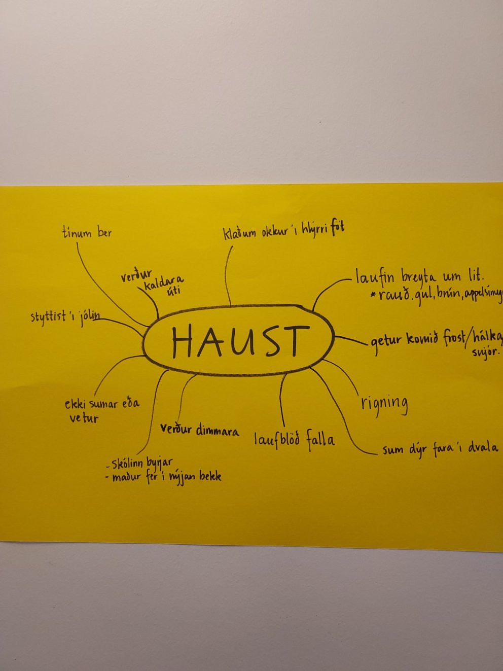 Haustið í 2. bekk