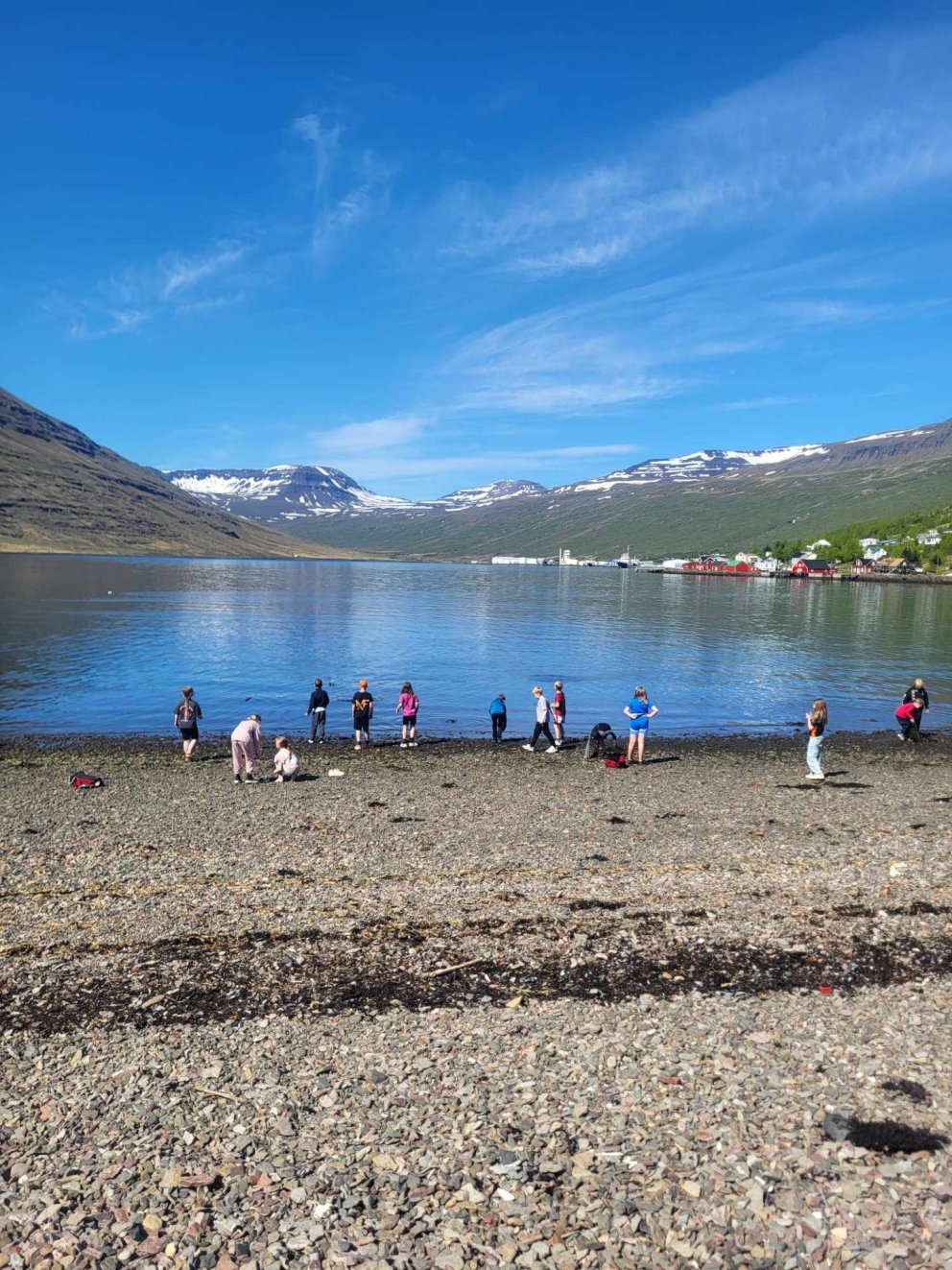 Landkrabbar í fjöruferð