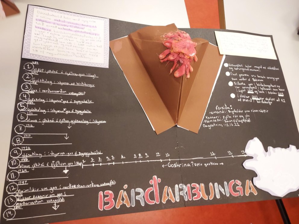 Eldstöðvar á Íslandi