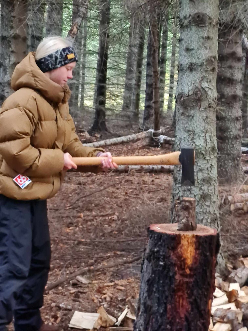 Leikið í skóginum