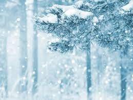 Skólastarfi aflýst á morgun, mánudag