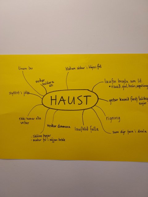 Haustið í 2. bekk