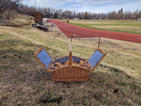 Þemadagar í 3.bekk