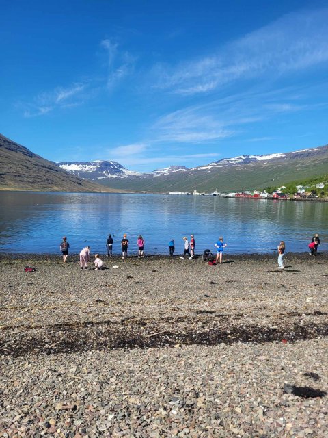 Landkrabbar í fjöruferð