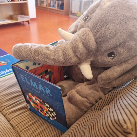 Það sem gerist á bókasafninu ...