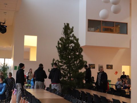 Jólatré í stofu stendur