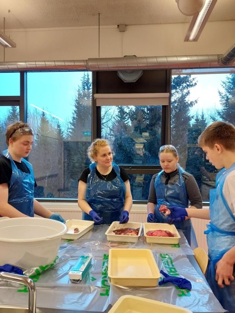 9.bekkur í krufningu