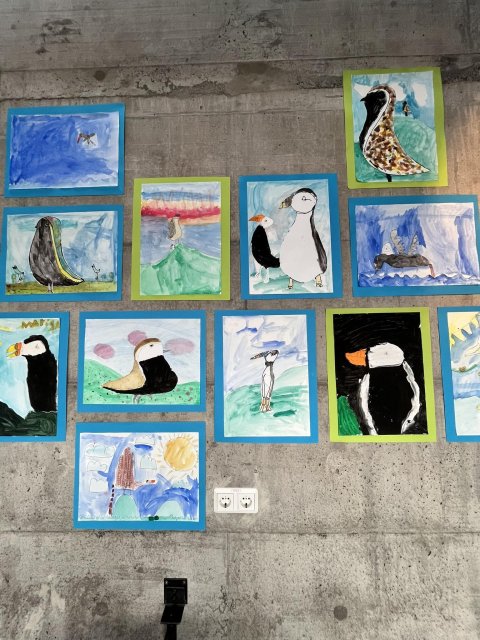 Lóur og lundar í Hafnarhúsi á Borgarfirði eystra