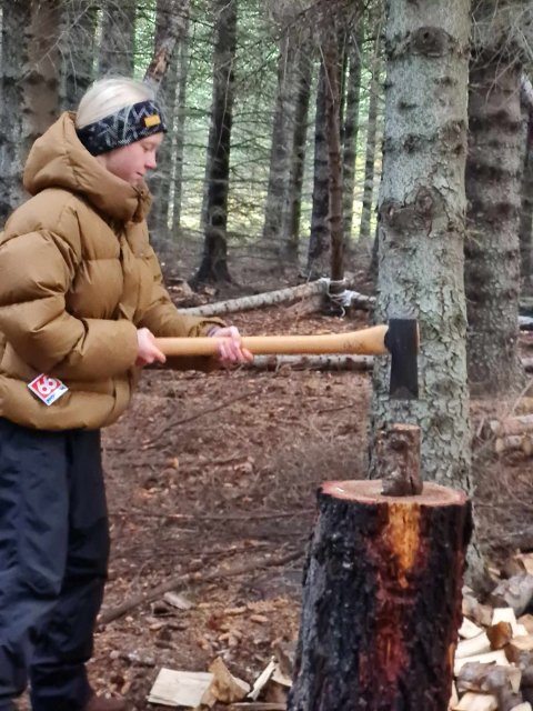 Leikið í skóginum