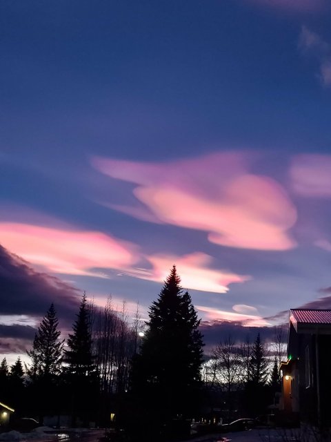 Gleðilegt nýtt ár